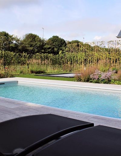 Zwembad laten aanleggen in tuin Groningen